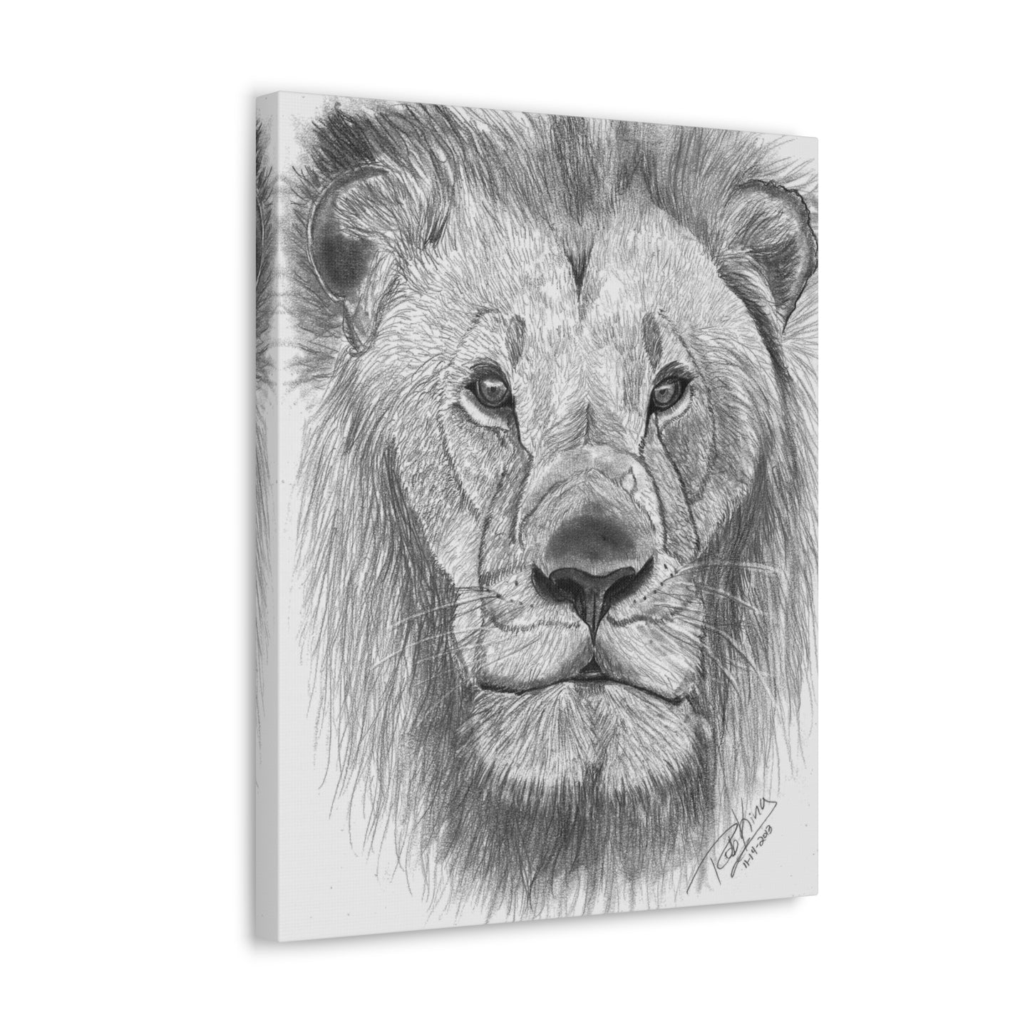 Lion - Canvas Gallery Wraps