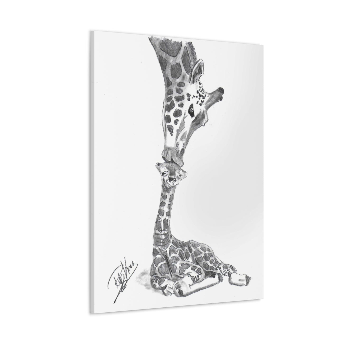 Giraffe Mother Child Kiss  - Canvas Gallery Wraps