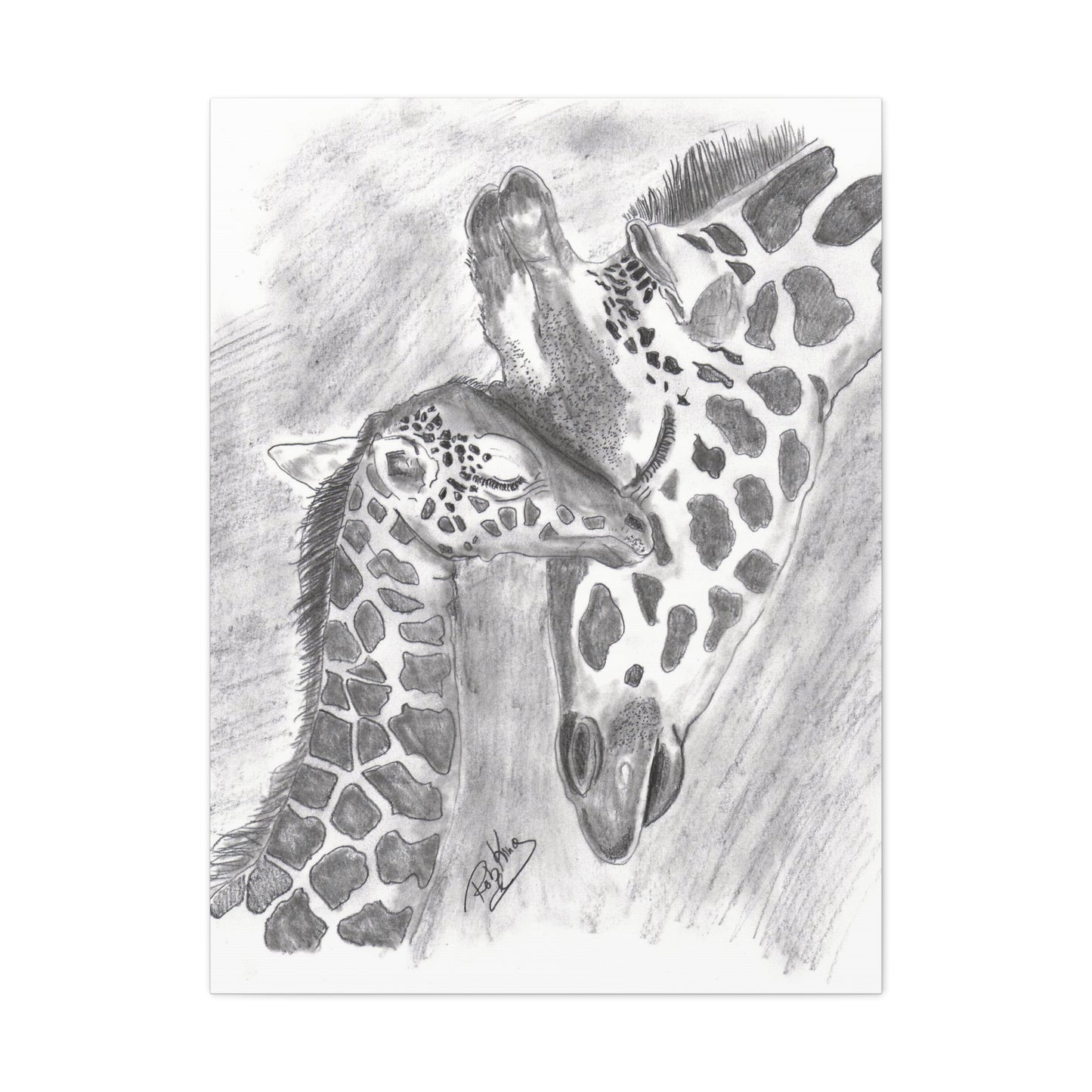 Giraffe Love  - Canvas Gallery Wraps